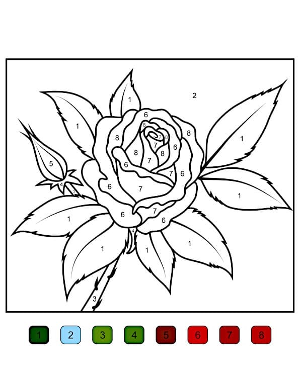 Rose Flower Color By Number