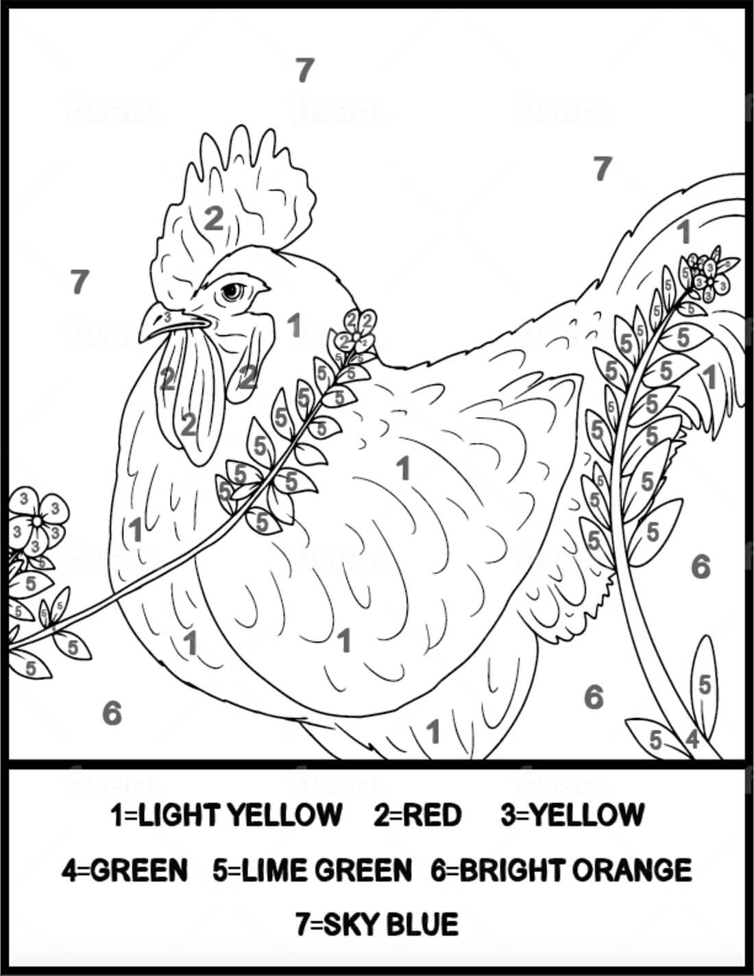 Fat Chicken Color by Number