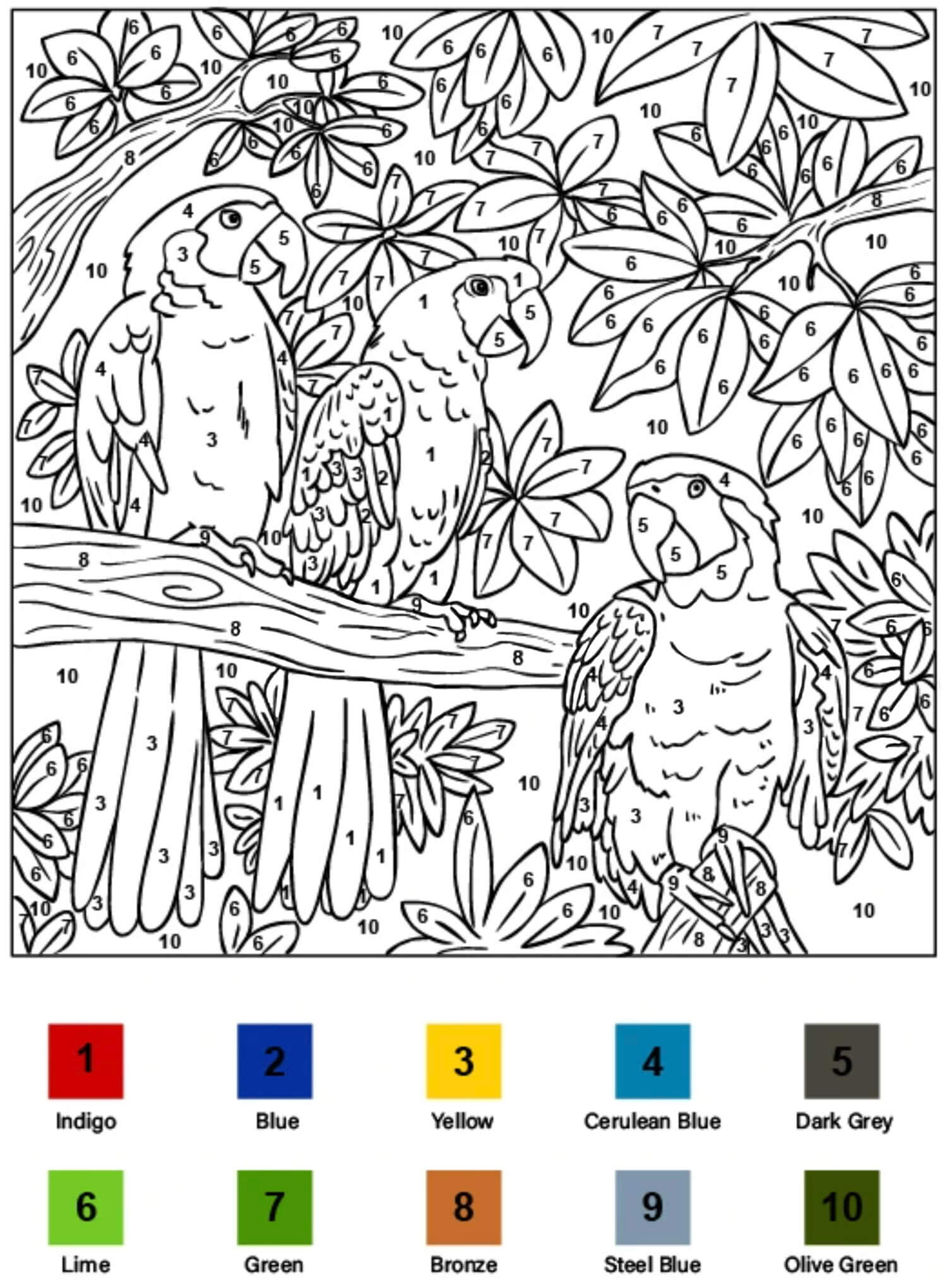 Three Parrots Color by Number