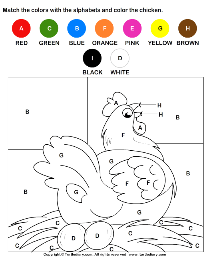 Chicken lays egg color by number