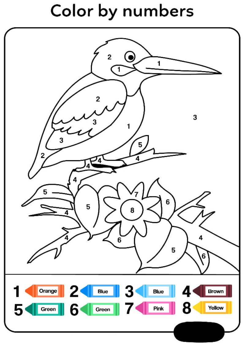 Long-billed bird color by number