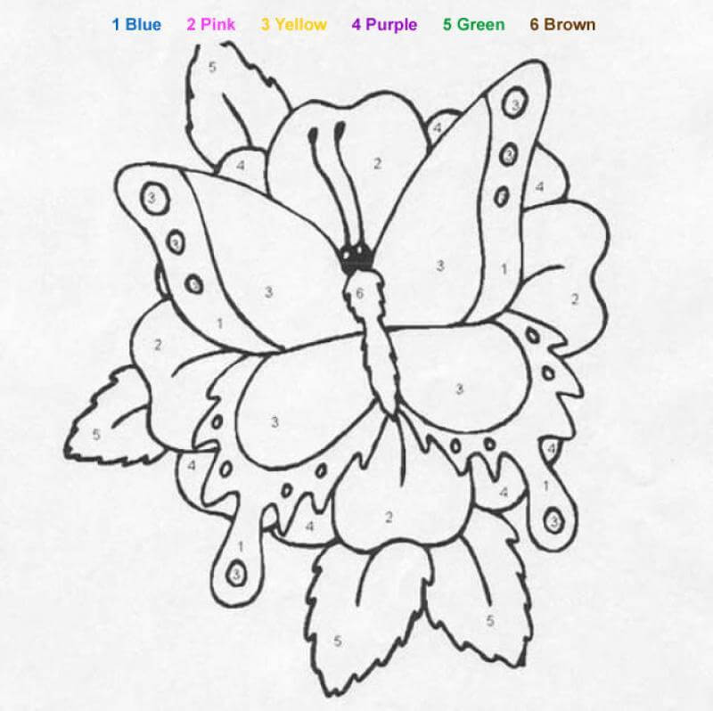 Butterfly and flower color by number