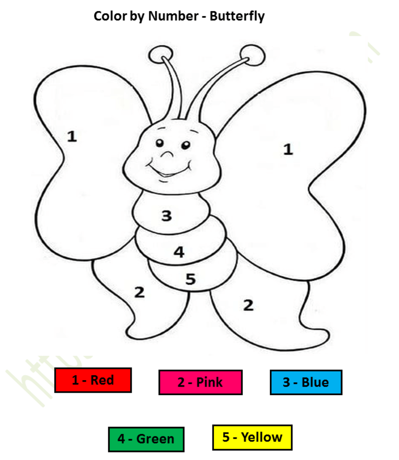 Cartoon butterfly color by number