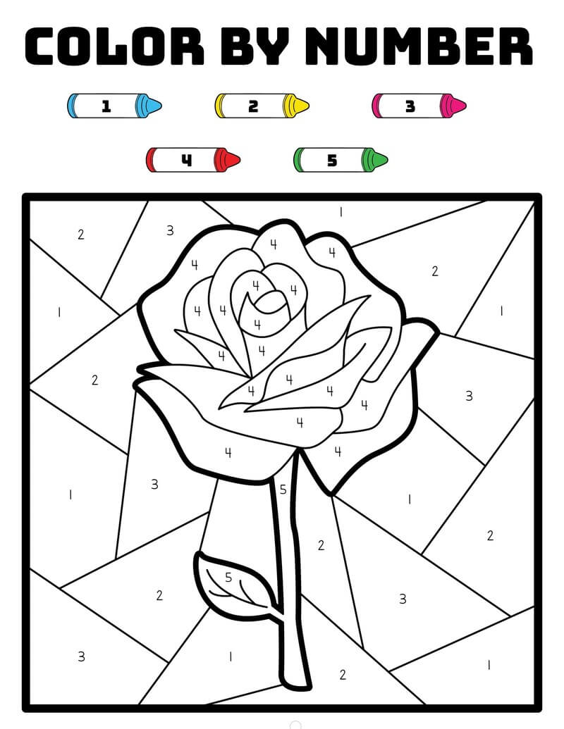 Normal Rose color by number