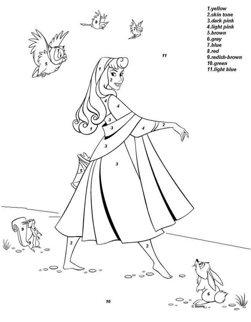 Princess and Bird color by number