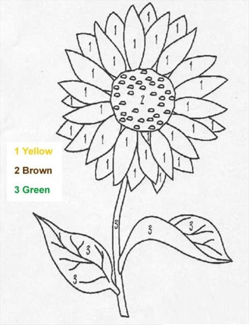 Sunflowers in spring color by number Color By Number