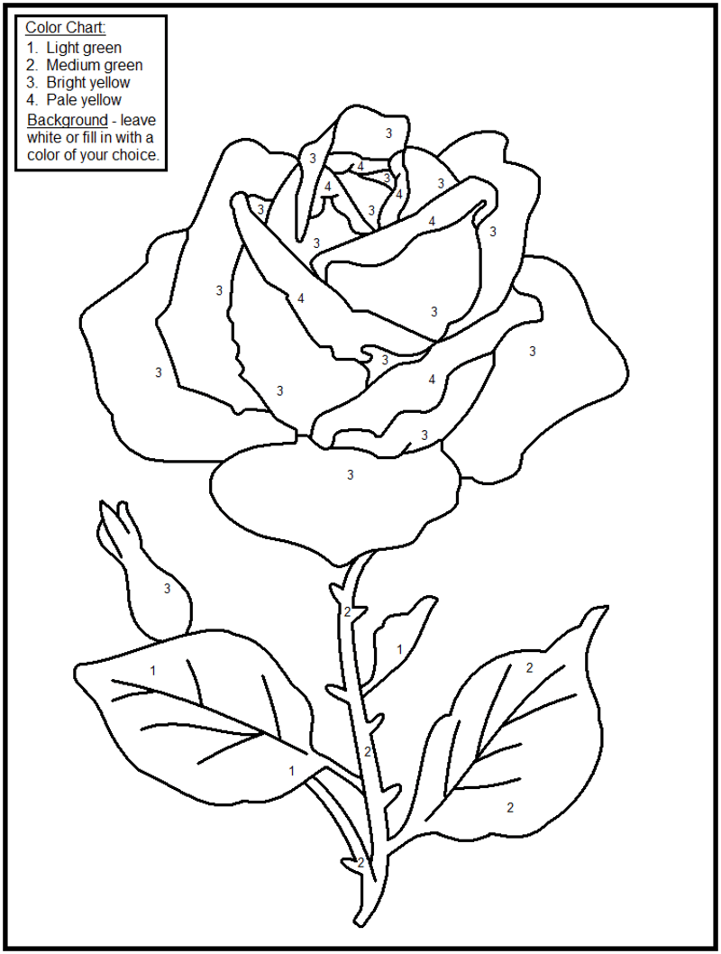 Valentines Rose color by number