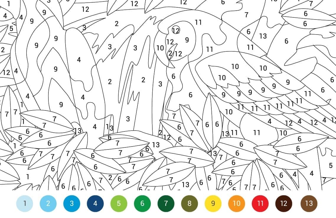 Difficult Bird Color By Number Color By Number