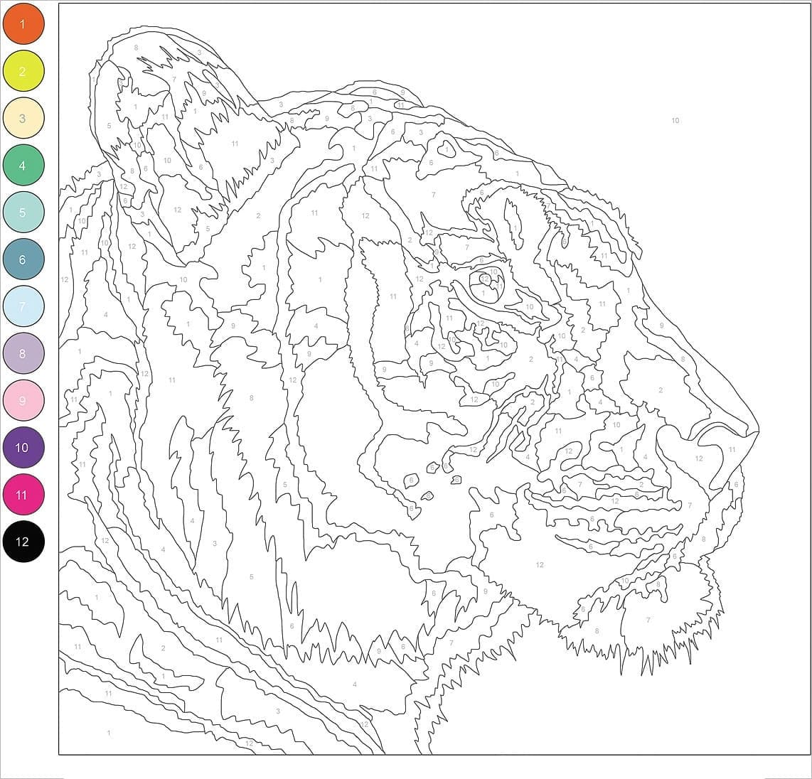 Difficult Tiger Color By Number Color By Number