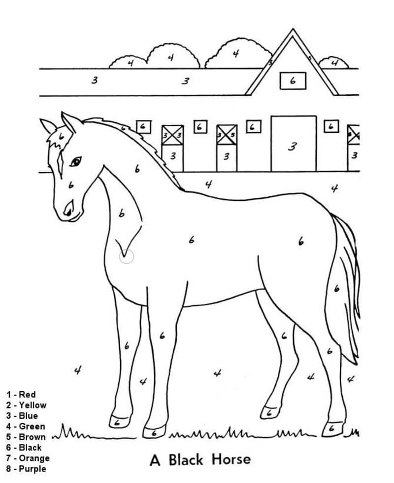 A Black Horse color by number