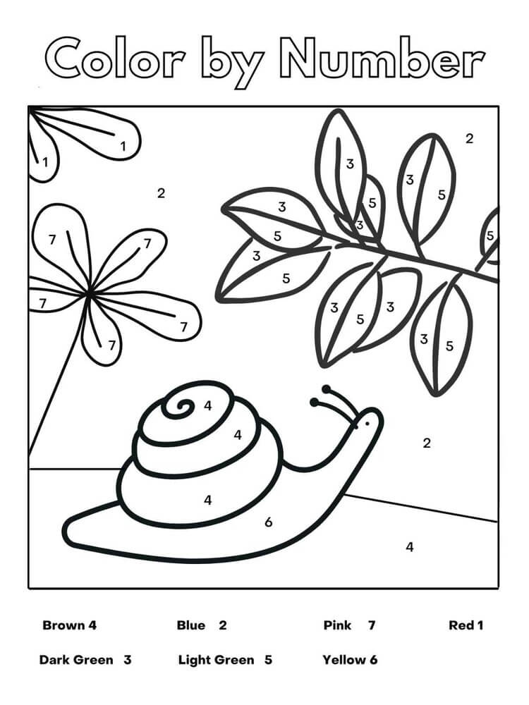 Easy cute snail color by number