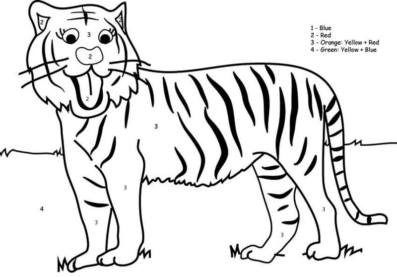 Funny Tiger color by number