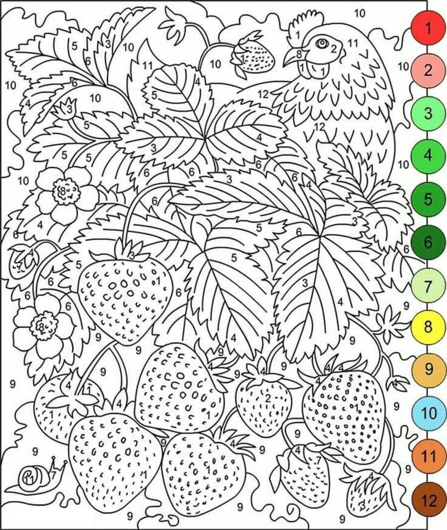 Hard Strawberry Garden color by number Color By Number