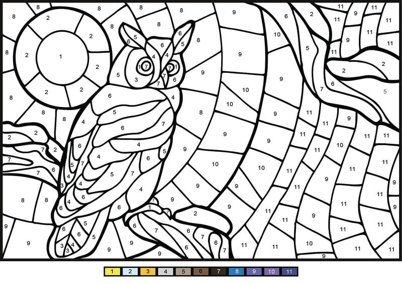 Beauty Owl color by number Color By Number