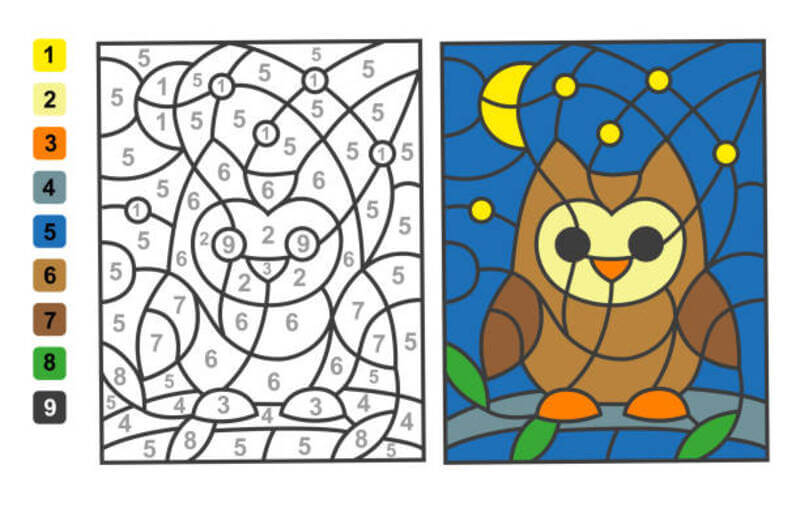 Brown owl color by number Color By Number