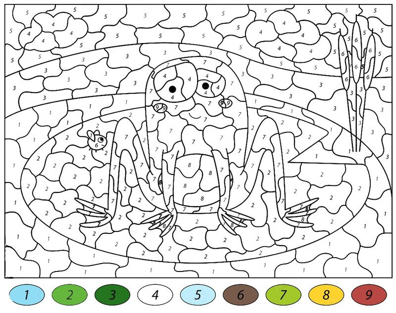Cartoon Frog color by number Color By Number