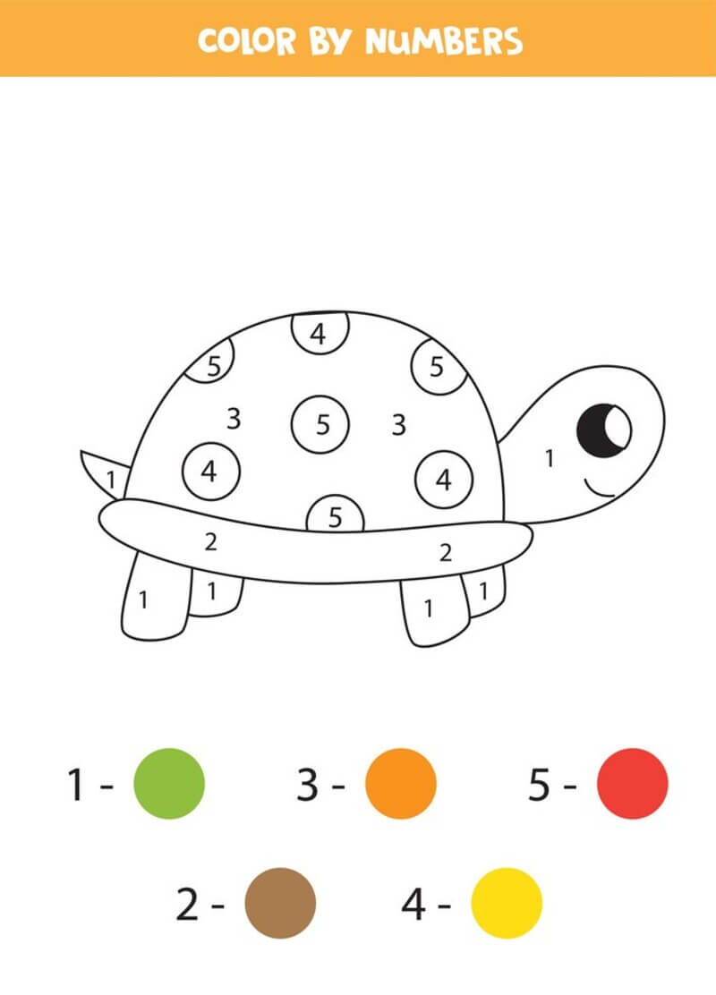 Cute Turtle color by number