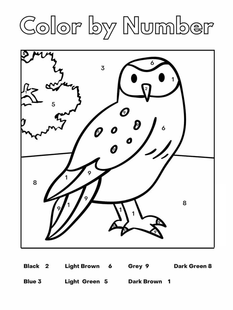 Owl Color by Number - ColoringbyNumber.Com