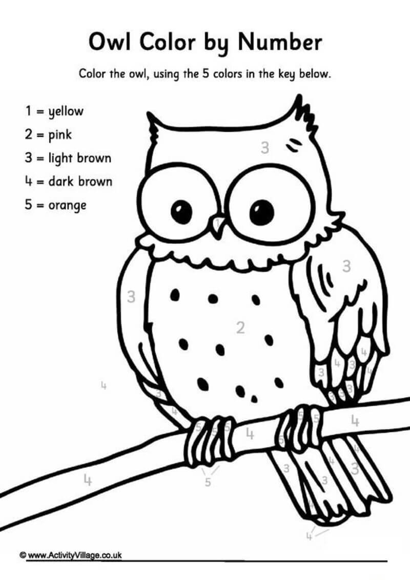 Fat Owl color by number Color By Number