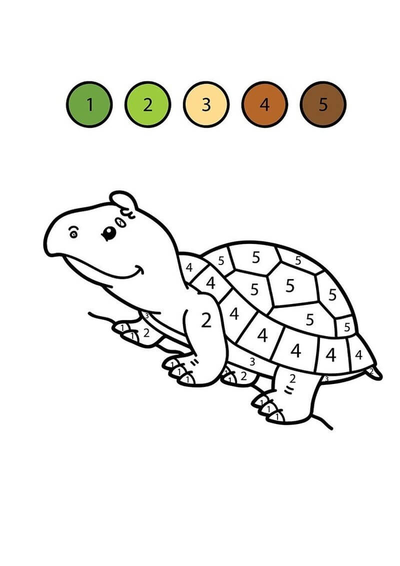 Good Turtle color by number Color By Number