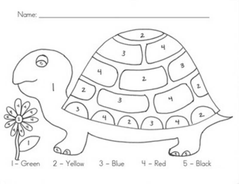 Oh Easy Turtle color by number Color By Number