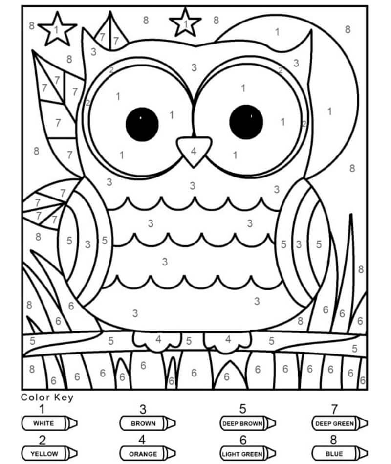 Owl Color By Number