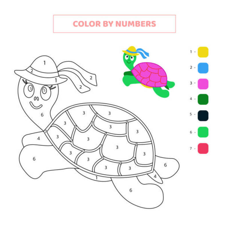 Pink Turtle color by number Color By Number