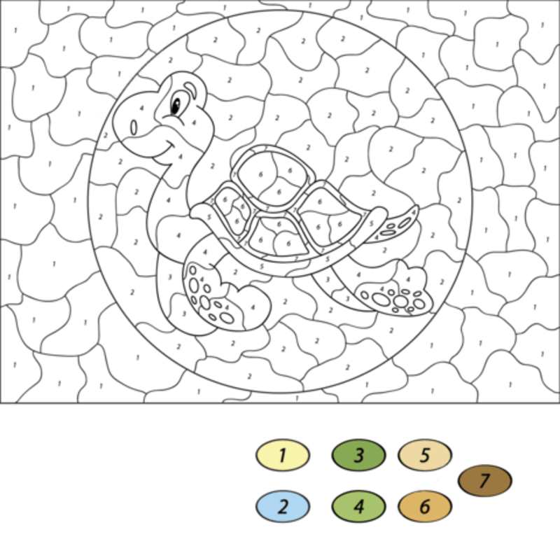 Sea Turtle color by number Color By Number