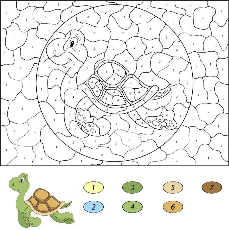 Swimming Turtle color by number Color By Number