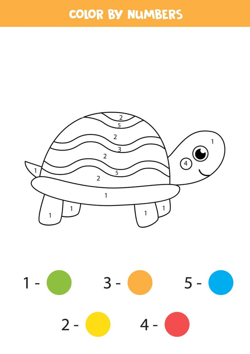 Tiny Turtle color by number Color By Number