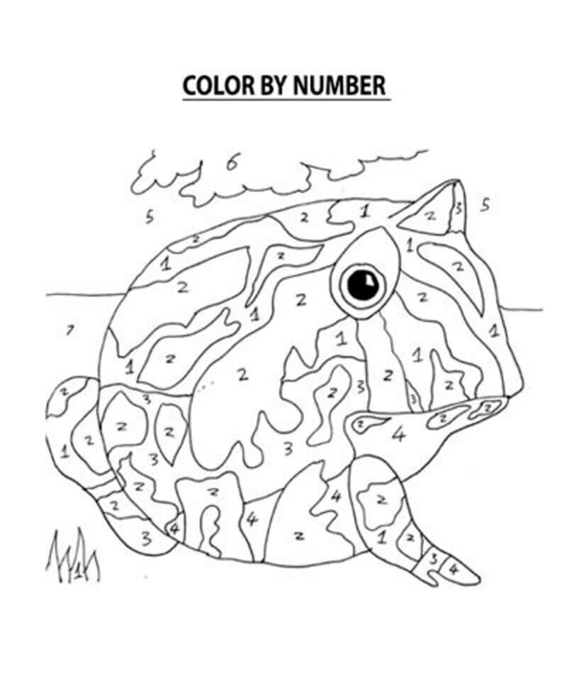 Coloring Page - Color by Numbers Frog Graphic by MyBeautifulFiles ·  Creative Fabrica