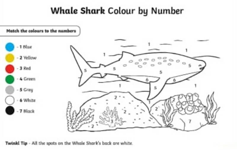 Whale Shark color by number