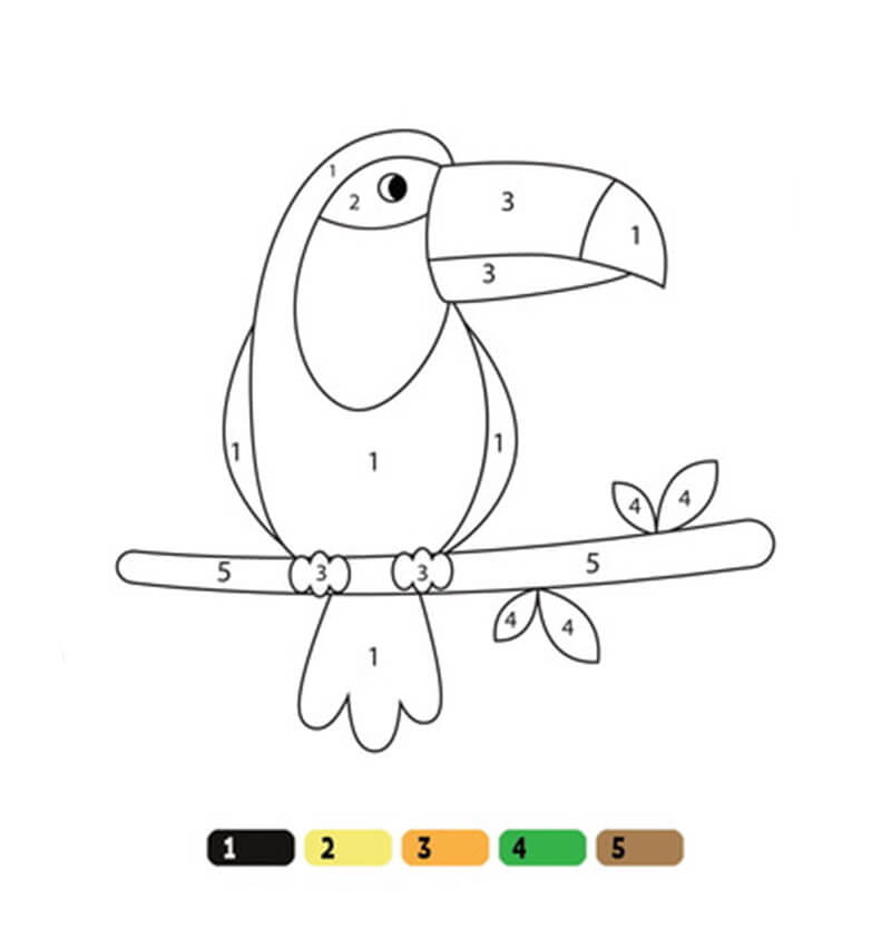 Easy and Simple Toucan Coloring by Number