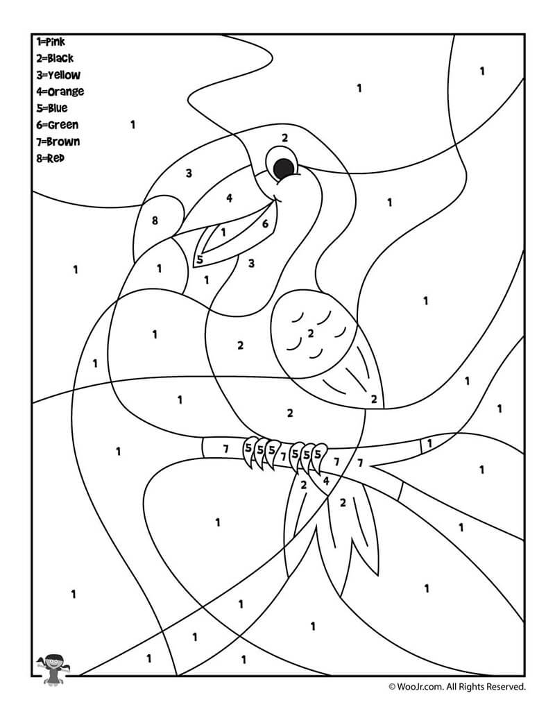 Free Toucan Coloring by Number