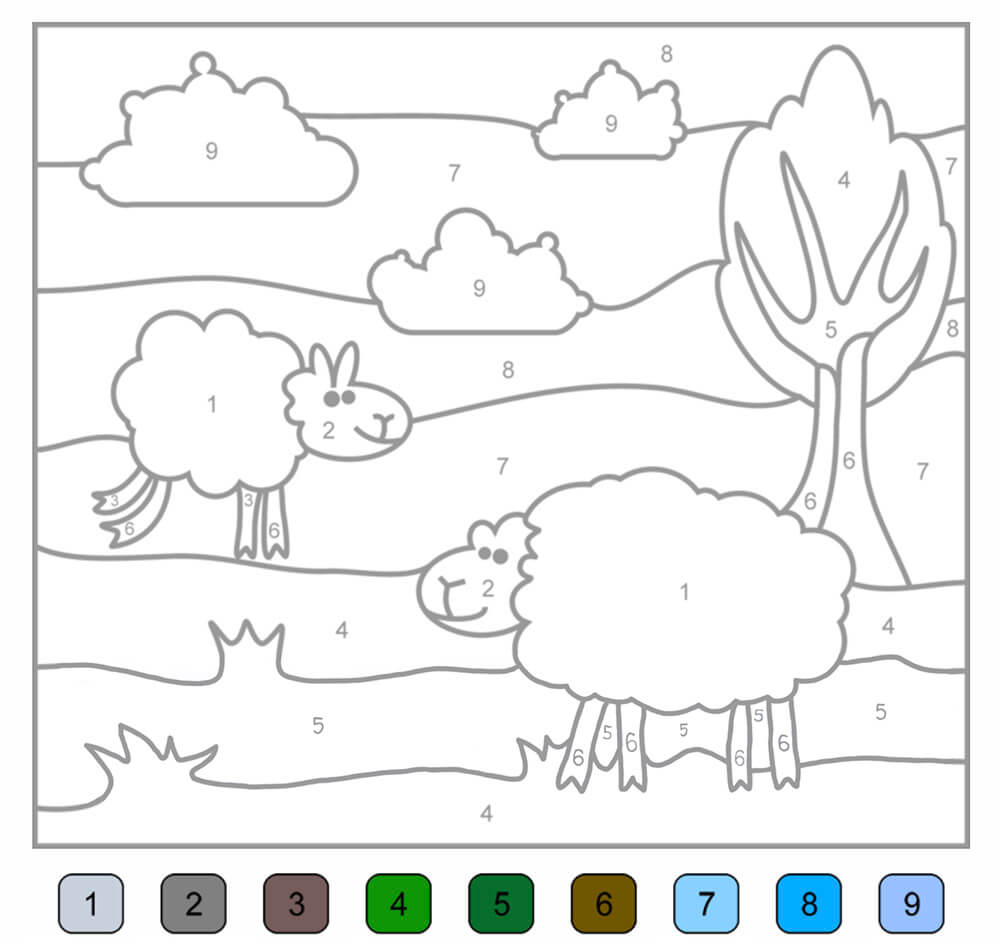 Sheeps Color by Number