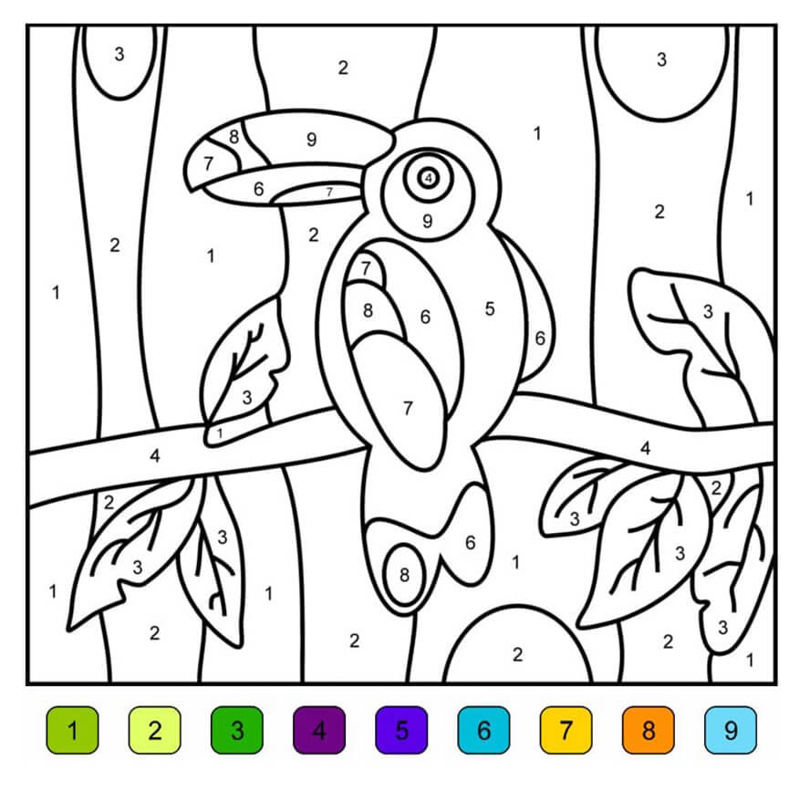 Toucan Coloring by Numbers