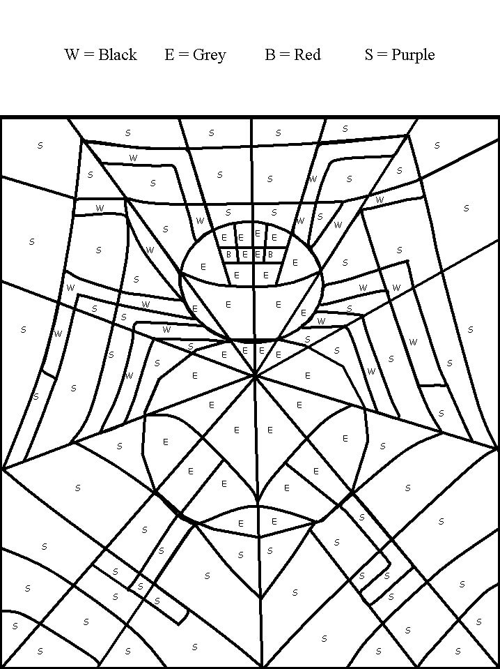 Basic Spider Color By Number Color By Number