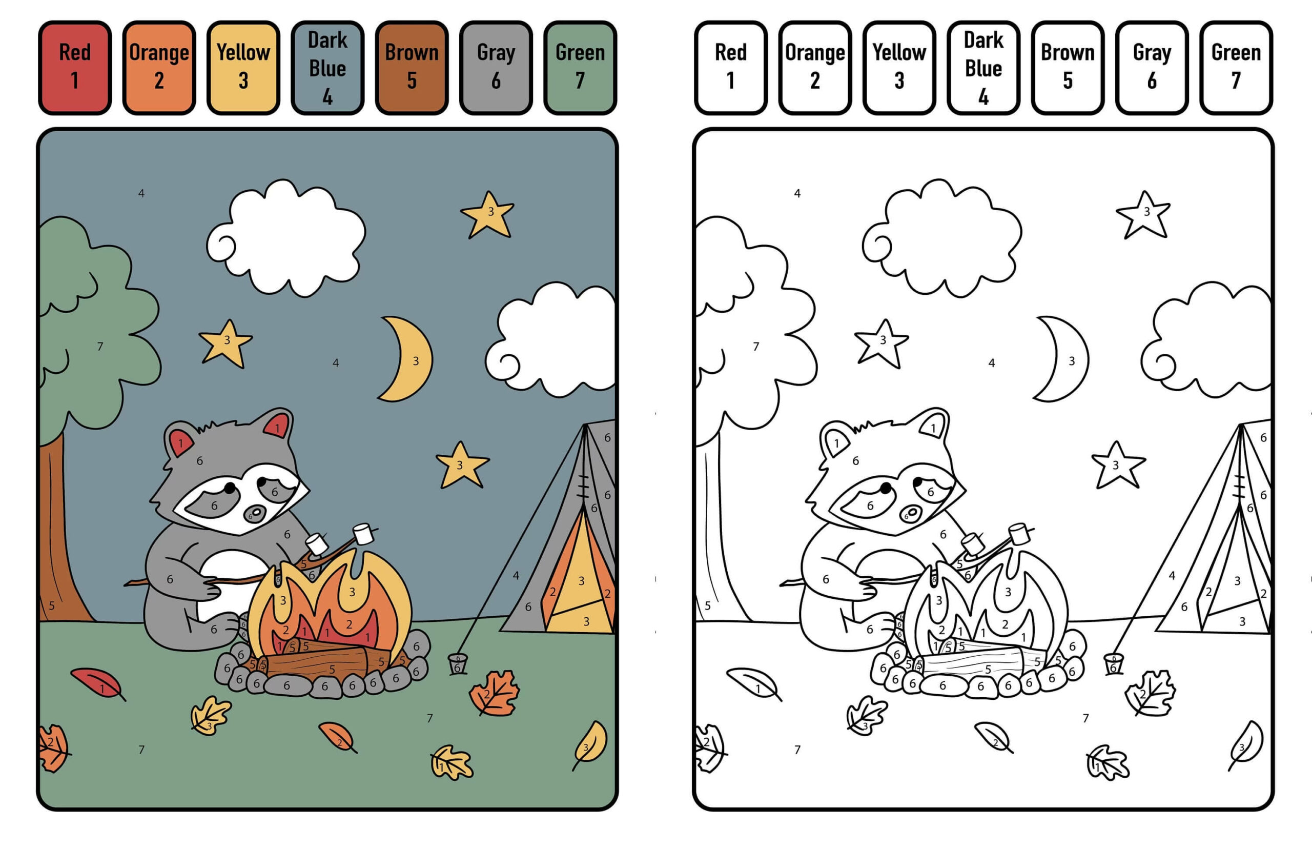Raccoon Camping Color By Number Color By Number