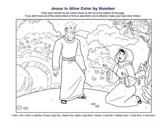 Bible Color By Number