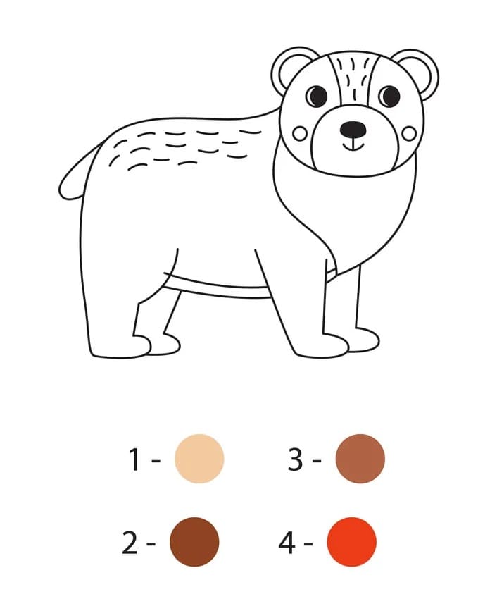 Bear Color By Number Printable