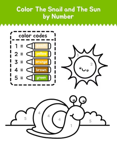 Cute Snail Color By Number