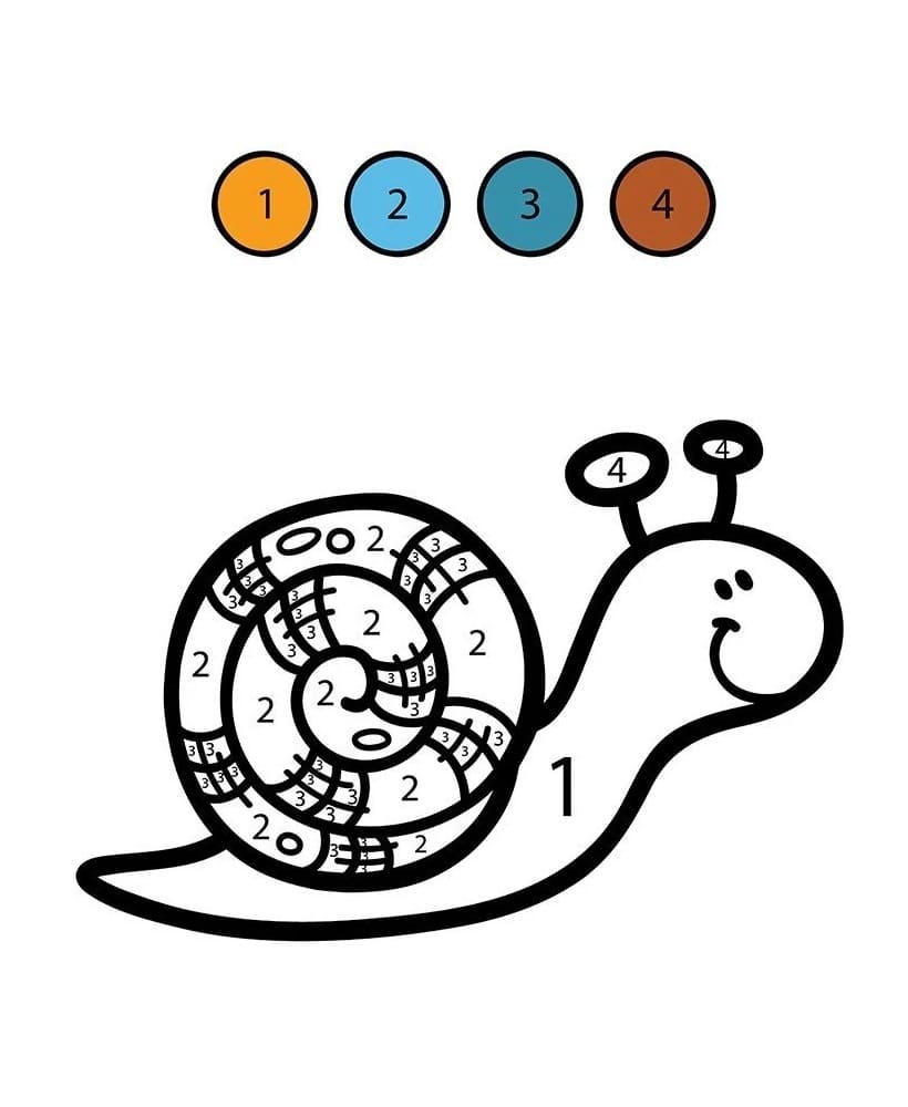 Snail  Color By Number