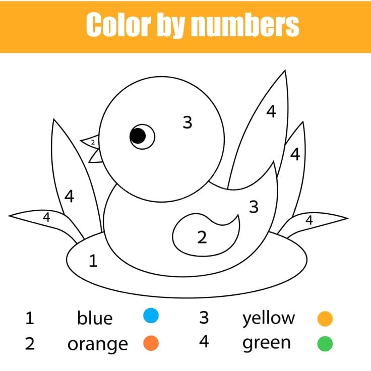 Cute Duck Color By Number