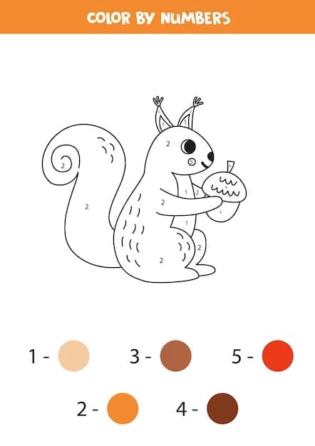 Cute Squirrel Color By Number