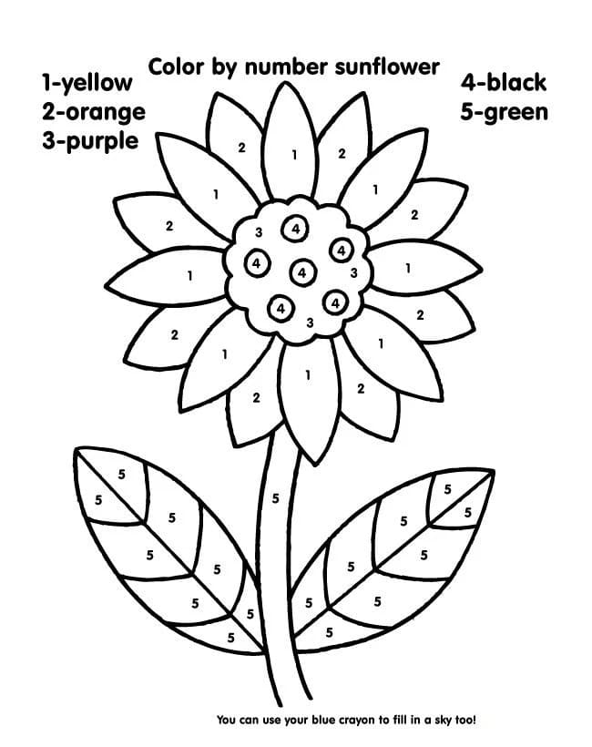 A Sunflower Color By Number