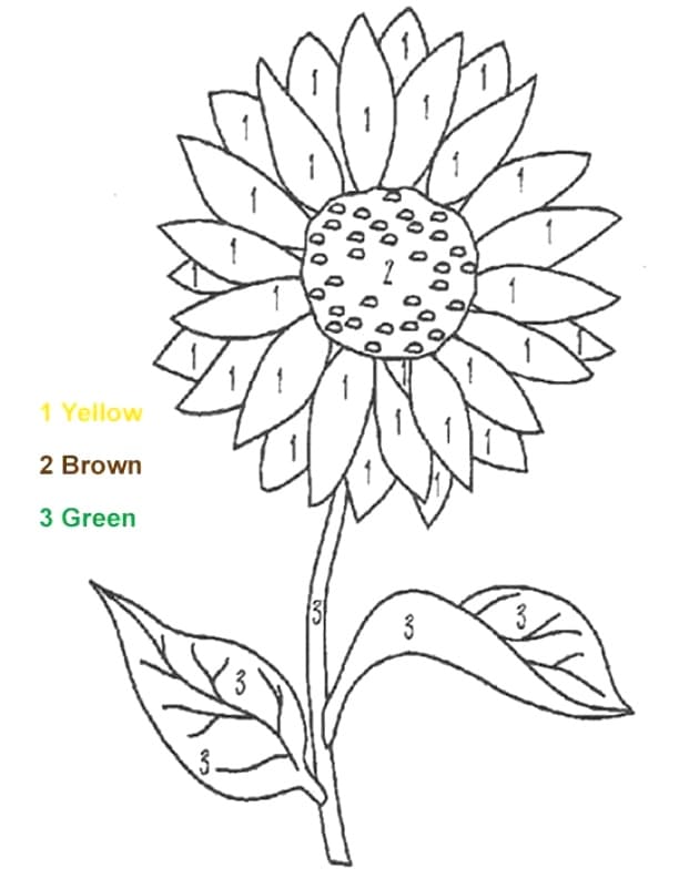 Basic Sunflower Color By Number