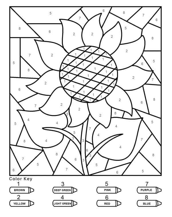 Simple Sunflower Color By Number