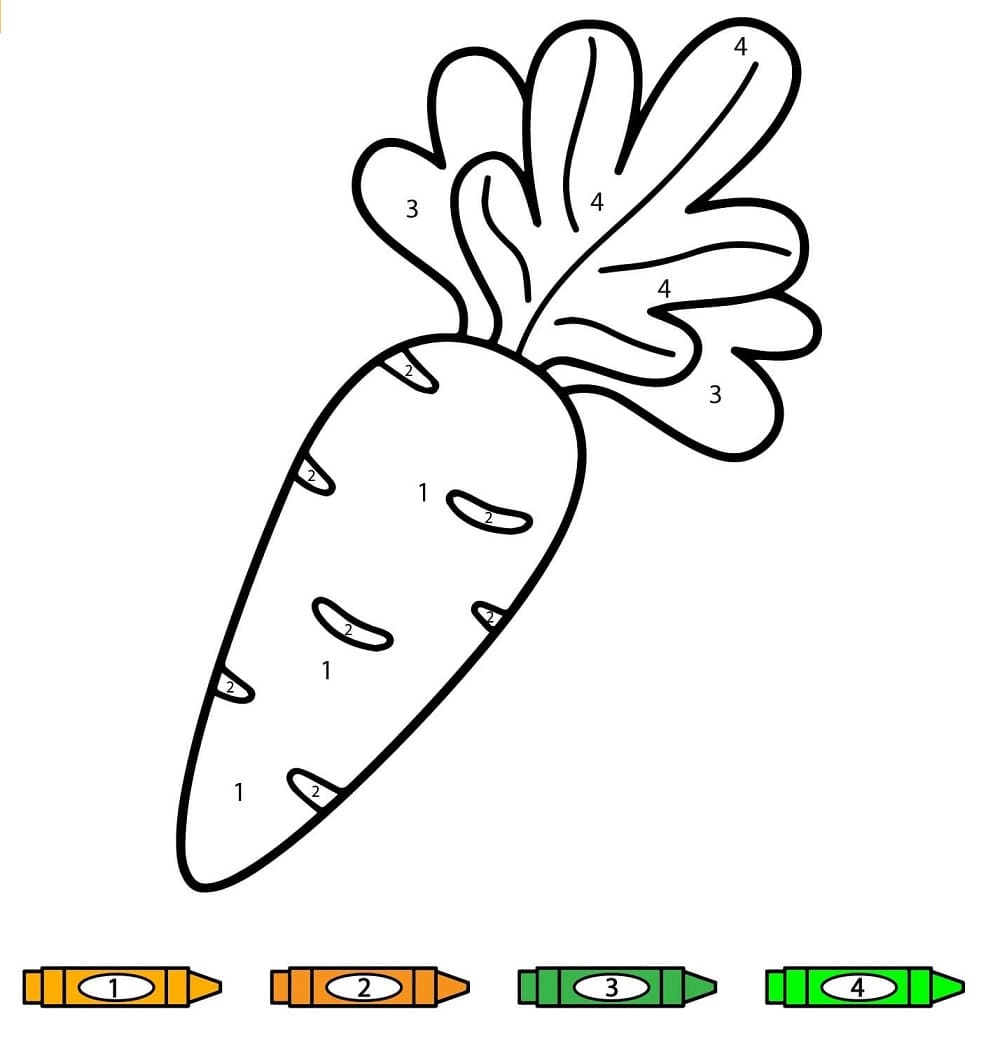 A Carrot Color By Number